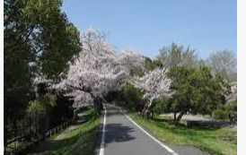 嵐山東公園の画像