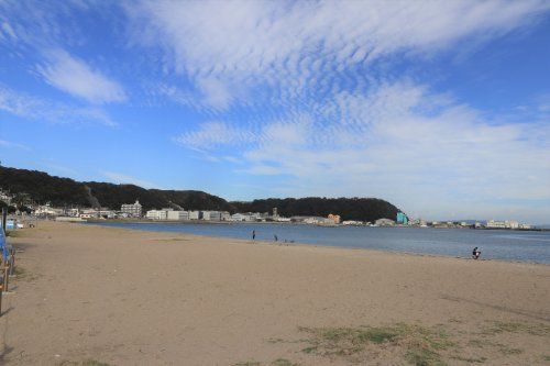 久里浜海岸の画像