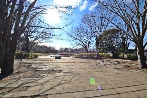 清瀬金山緑地公園の画像