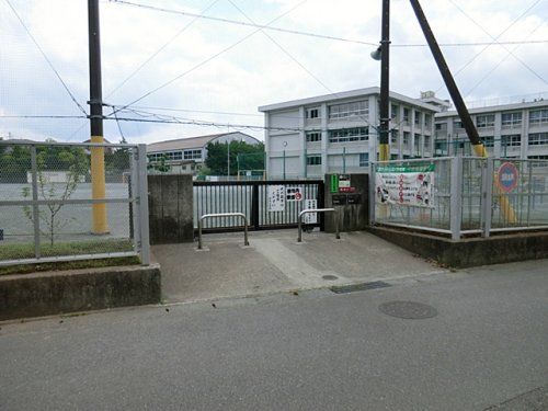 横須賀市立野比小学校の画像