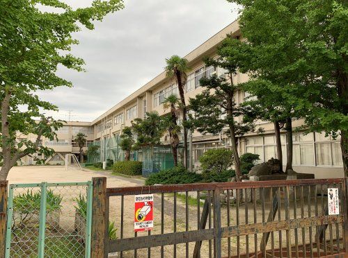 松戸市立馬橋小学校の画像