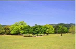 南青山四丁目児童遊園の画像