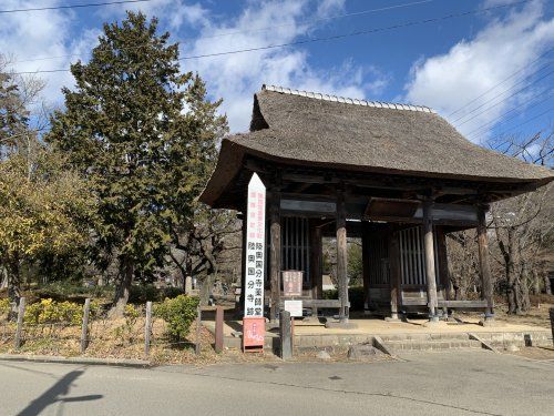 陸奥国分寺薬師堂の画像