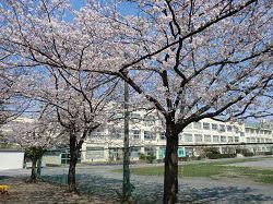 中野区立美鳩小学校の画像