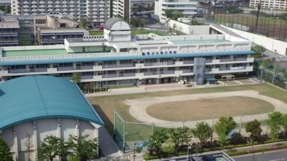 江東区立第三大島小学校の画像