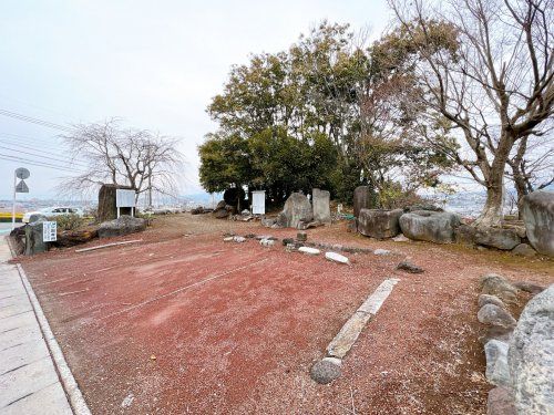 愛樹園公園の画像