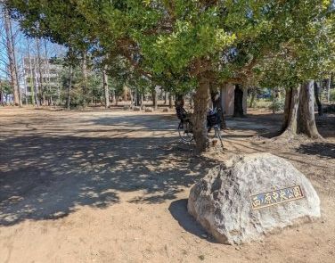 西ノ原中央公園の画像