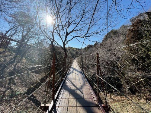 駿河平自然公園の画像