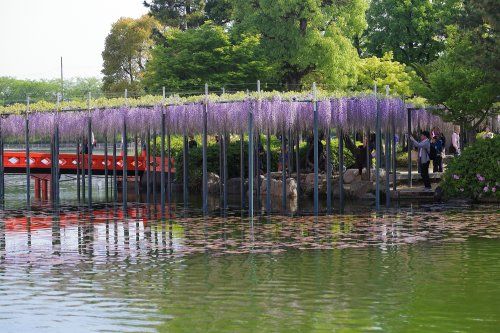 天王川公園の画像