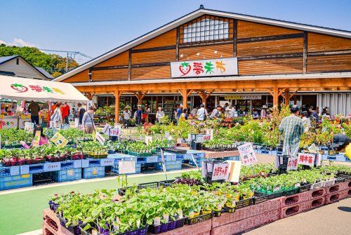 JAあつぎ 夢未市本店の画像