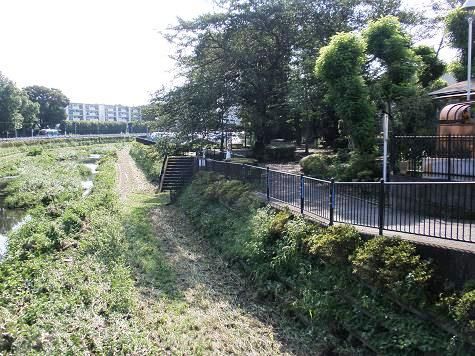 野川緑地公園の画像