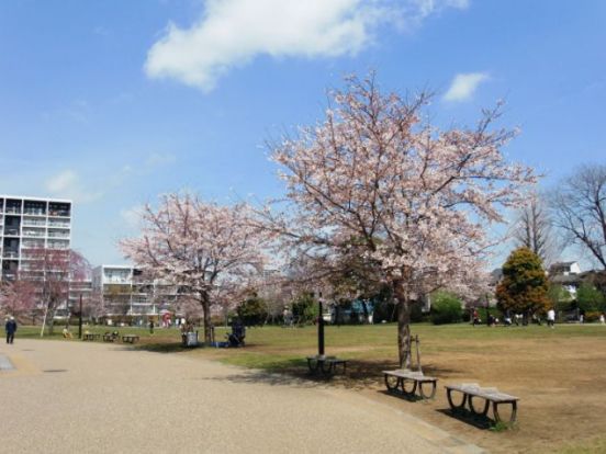 西ヶ原みんなの公園の画像