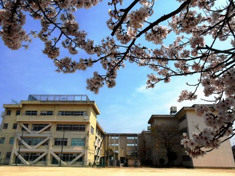 古ケ崎小学校の画像