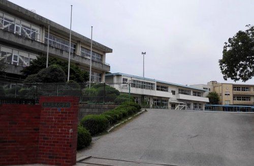 柏市立土小学校の画像