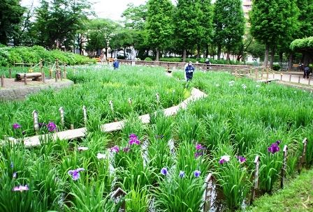 しょうぶ沼公園の画像