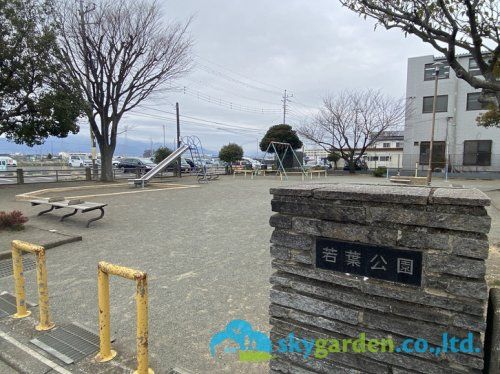 若葉公園の画像