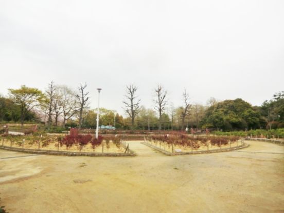 大井戸公園の画像