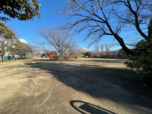 共栄公園の画像