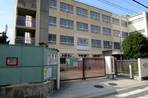 安井小学校の画像