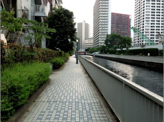 新芝運河沿緑地の画像