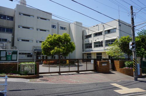 横浜市立永田台小学校の画像