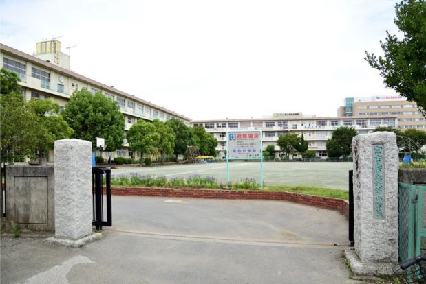 富士見市立諏訪小学校の画像