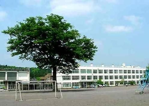 入間市立金子小学校の画像