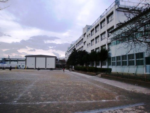 大和市立緑野小学校の画像