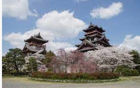 伏見桃山城の画像