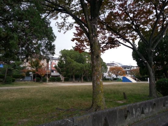 平岡公園の画像