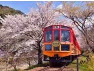 嵯峨野トロッコ列車の画像