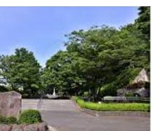 横山公園の画像