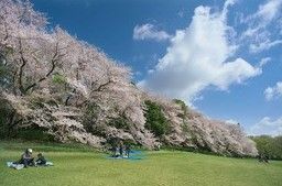 都立砧公園北門の画像