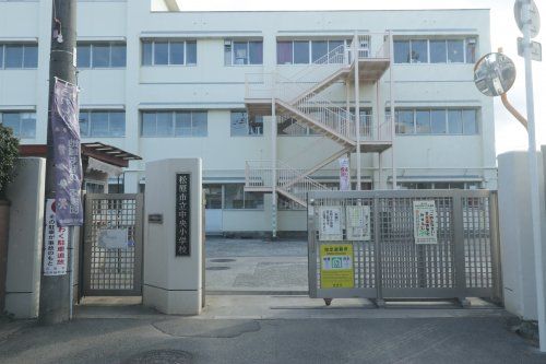 松原市立中央小学校の画像