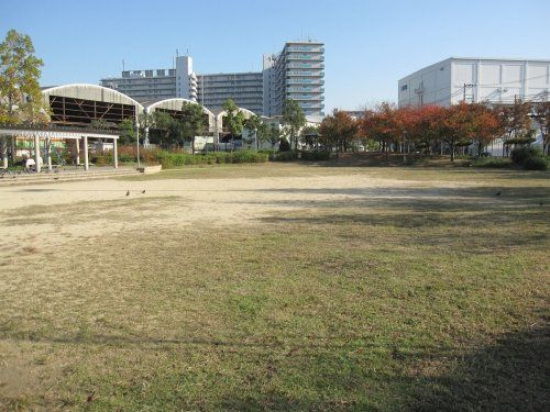 大開西公園の画像