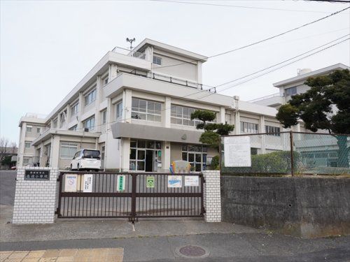 横須賀市立森崎小学校の画像