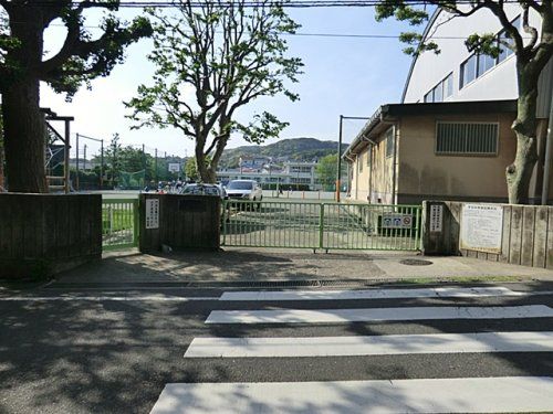 横須賀市立大楠小学校の画像
