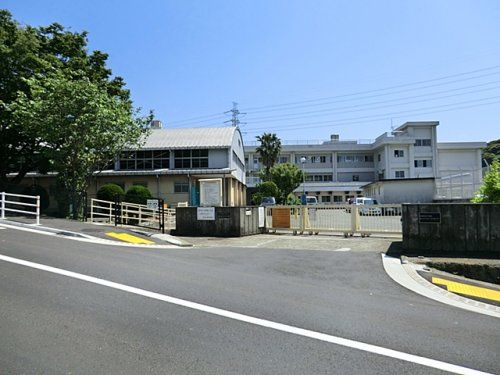 横須賀市立粟田小学校の画像