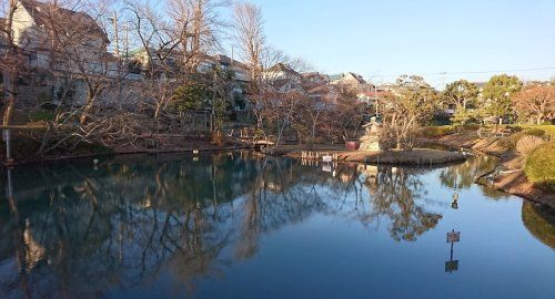 弁天池公園の画像