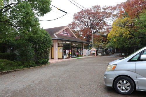 大杉神明幼稚園の画像