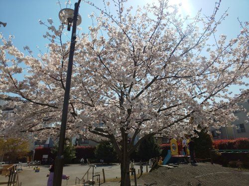 二葉公園の画像