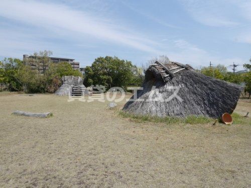 板付遺跡の画像