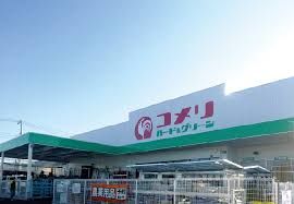 コメリ　榛東店の画像