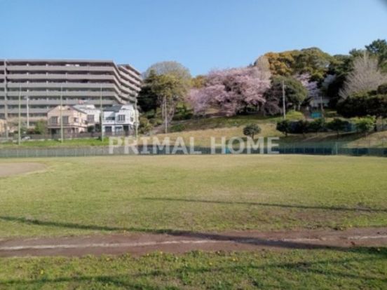 横浜市神の木公園野球場の画像