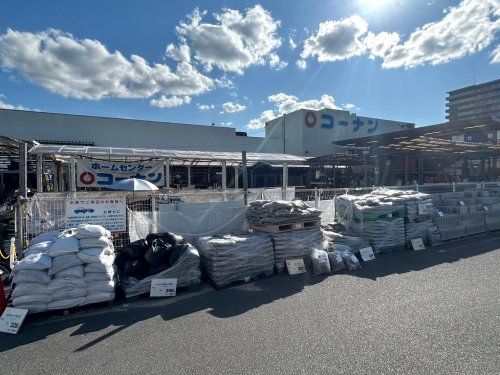 ホームセンターコーナン 伏見大手筋店の画像