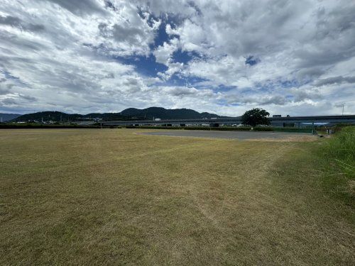 富士川緑地公園野球場の画像