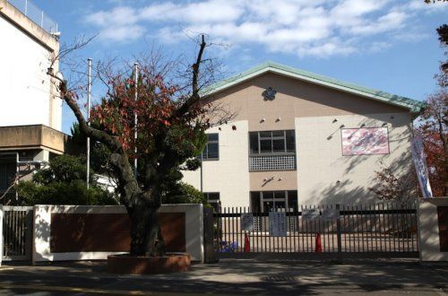 和歌山市立大新小学校の画像