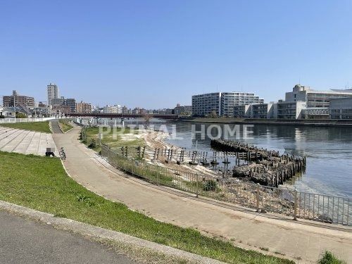 鶴見川河口干潟の画像