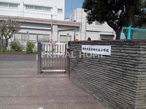 横浜市立菅田の丘小学校の画像