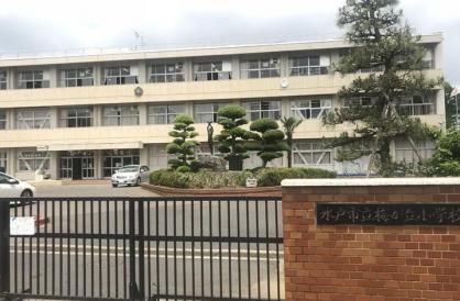 梅が丘小学校の画像